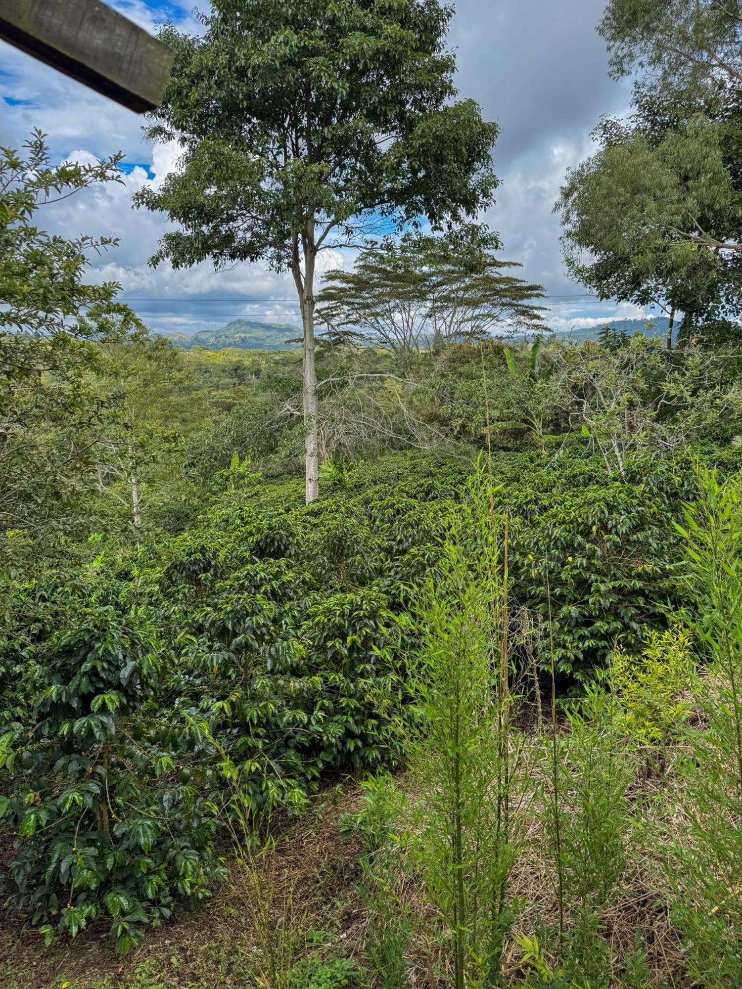 Hostal Pachamama San Agustín Esterno foto