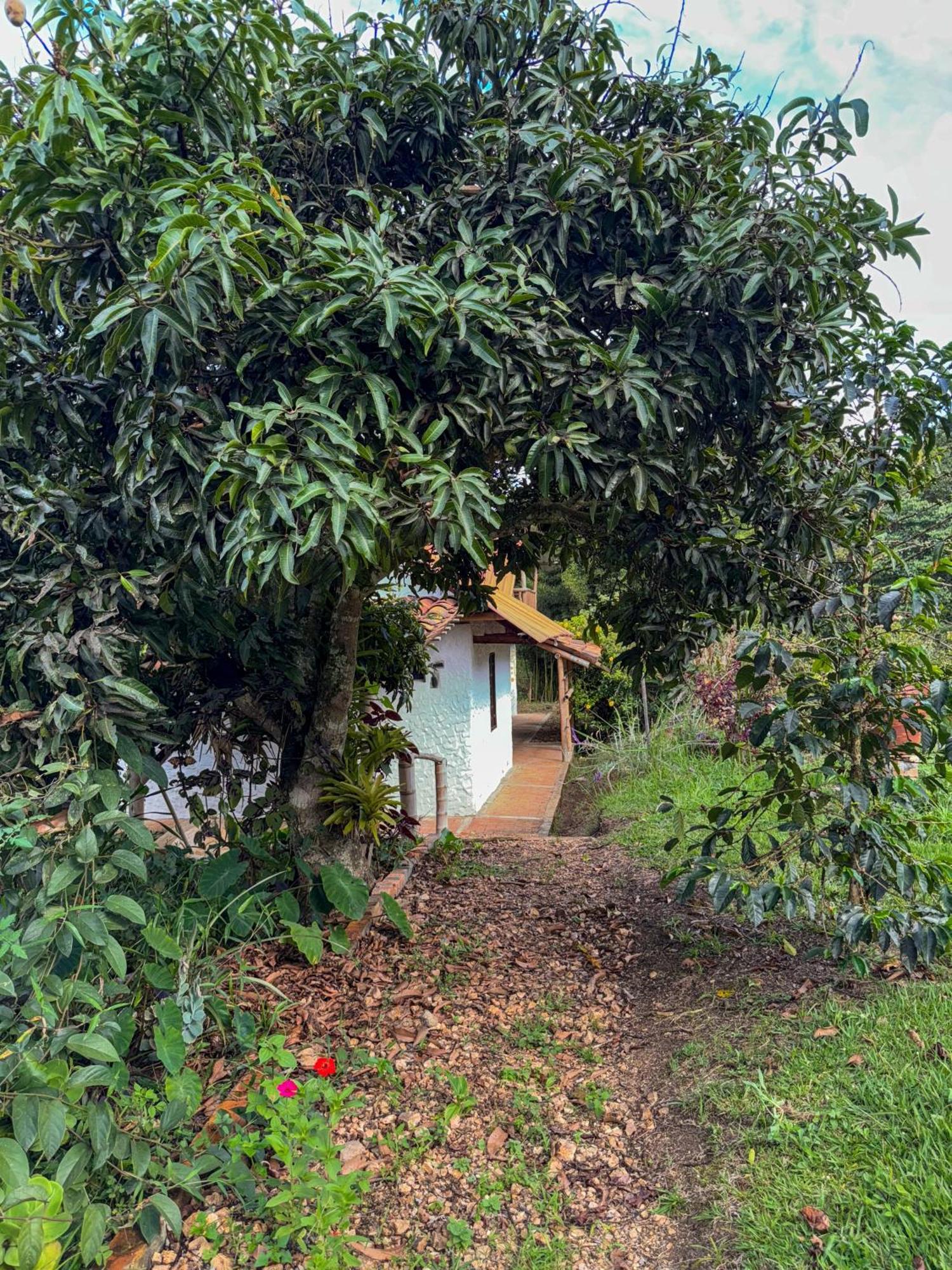 Hostal Pachamama San Agustín Esterno foto