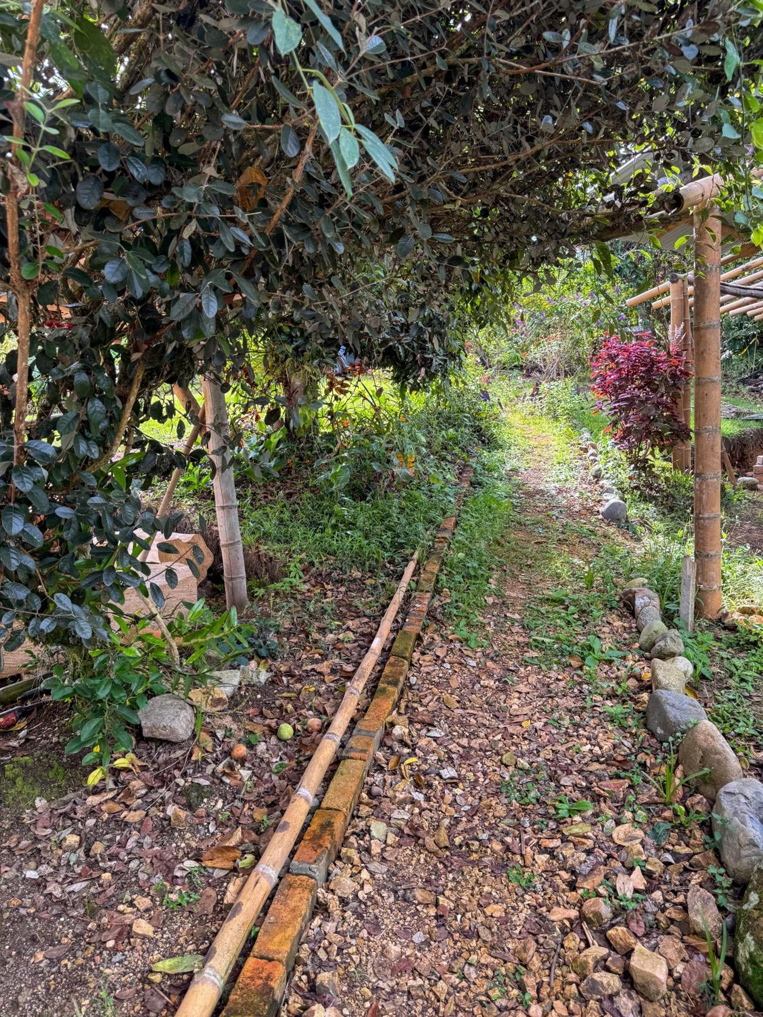 Hostal Pachamama San Agustín Esterno foto