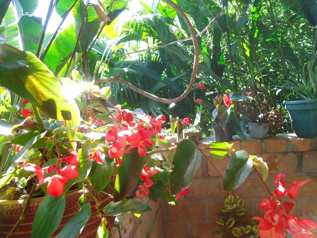 Hostal Pachamama San Agustín Esterno foto